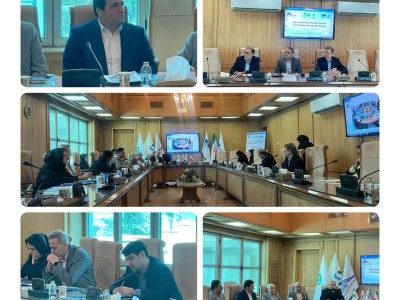 دکتر سلامی در همایش ارزیابی اقتصاد سوانح : بیمه تکمیلی حوادث طبیعی در راه است